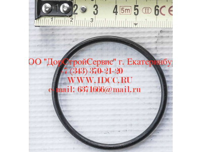 Кольцо уплотнительное ø346х3.5 гидромуфты ГТР CDM 855, 843 Lonking CDM (СДМ) 402236 фото 1 Самара