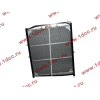 Радиатор WP10 SH SHAANXI / Shacman (ШАНКСИ / Шакман) DZ9112539268 фото 2 Самара