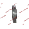 Шестерня привода распредвала промежуточная WD615/WP10 HOWO (ХОВО) VG1560050053/61560050053 фото 3 Самара